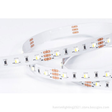 CCT Adjustable LED Strip